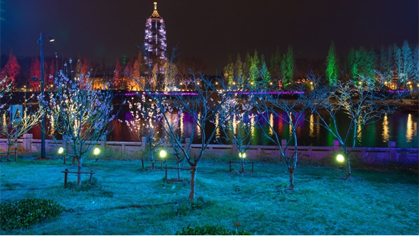 ��԰ҹ������������������Դ��ѡ��