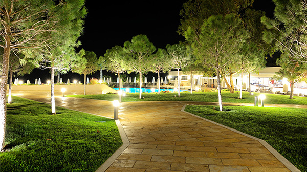 ԰�ֵƹ���������Ҫע�صƹ��뾰�۵�Э��ͳһ