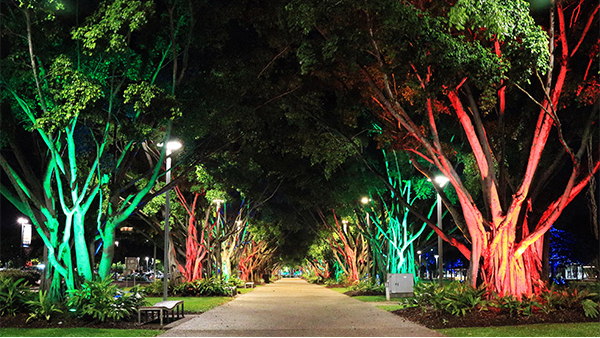 ԰��ҹ����������Ҫ���Լ���������ź���ɫ