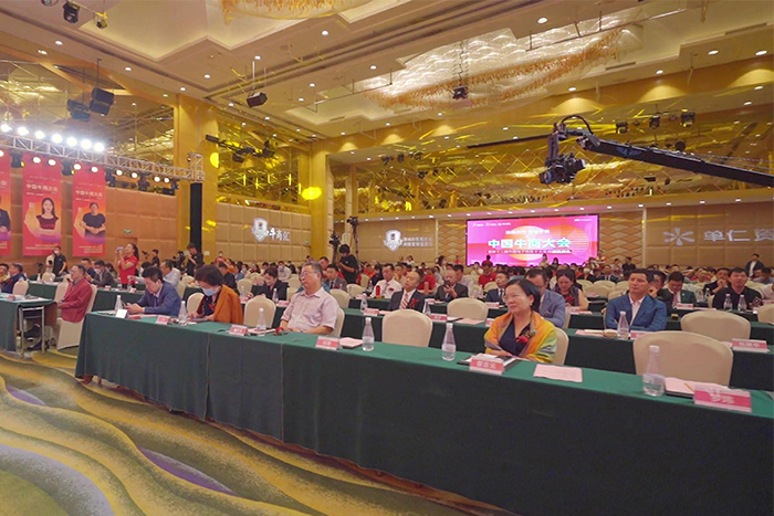 jdb电子״˾(˸)йţ̴