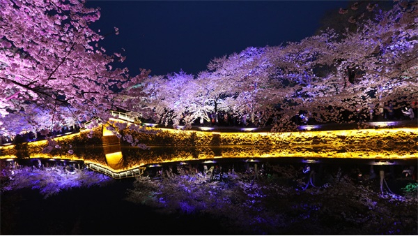 �ȼٱ�����������չ��ԭ��̬����Ȼ����