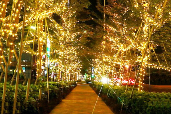 ԰�־����������-ʹ�ù���Ӱ�������Ȼ