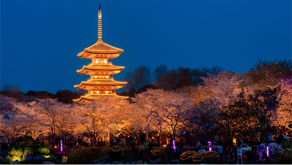 ԰�־���������Ʋ���һζ��׷������