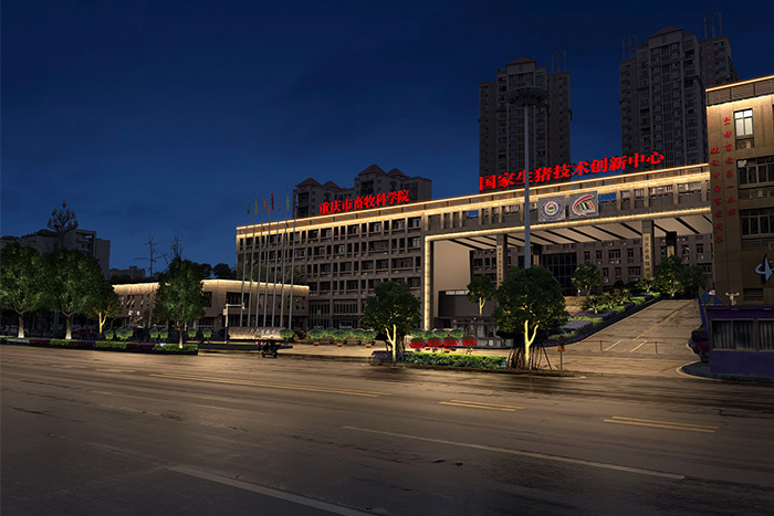 ѧУ�������