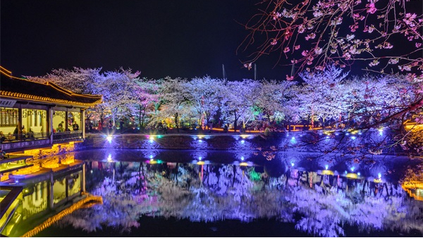 ԰����������ɼ�ֱ��Ԫ������