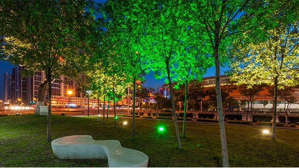 ΪʲôҪ԰Щ