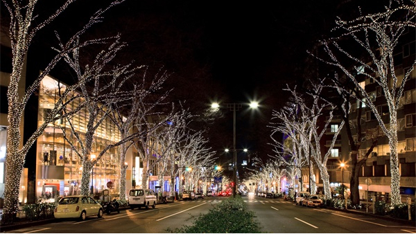 ��ҵ��ҹ�������ܹ����ֶ���Ĳ�ʢ